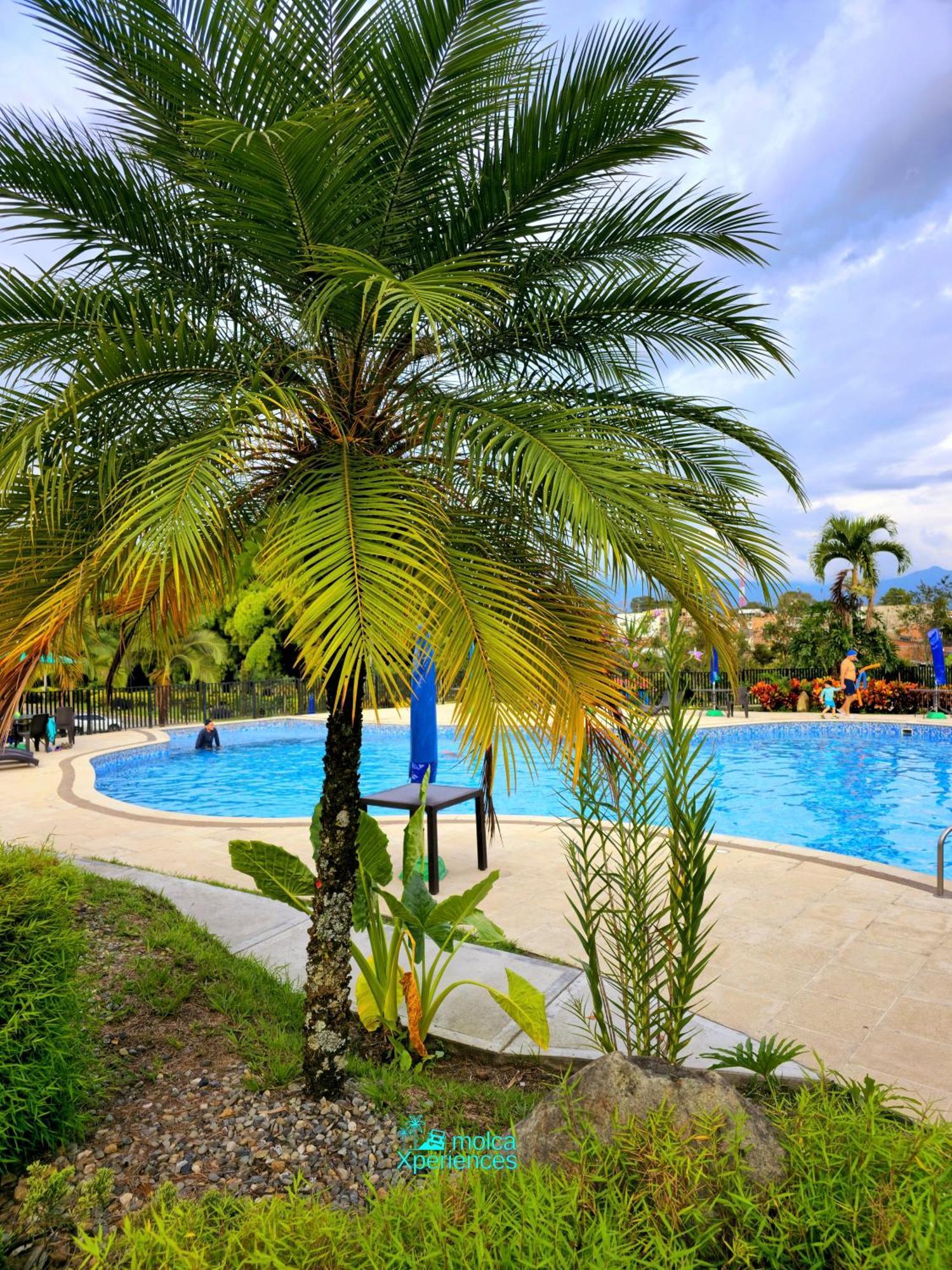 Apartamento Privado Vacacional A 5M Del Aeropuerto, 20 Minutos Del Parque Del Cafe Y Centro De Armenia Con 4 Piscinas, 3 Jacuzzi, Sauna By Molca Xperiences 2H Ngoại thất bức ảnh